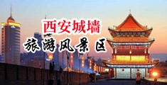 大骚逼人妻中国陕西-西安城墙旅游风景区
